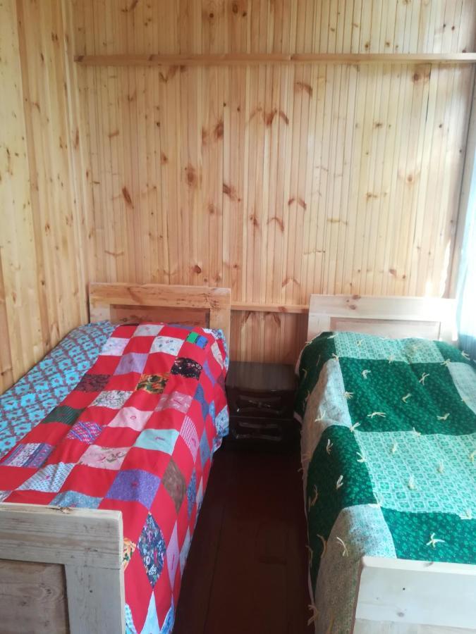 Guest House Georgia Elisabeth Adishi Dış mekan fotoğraf